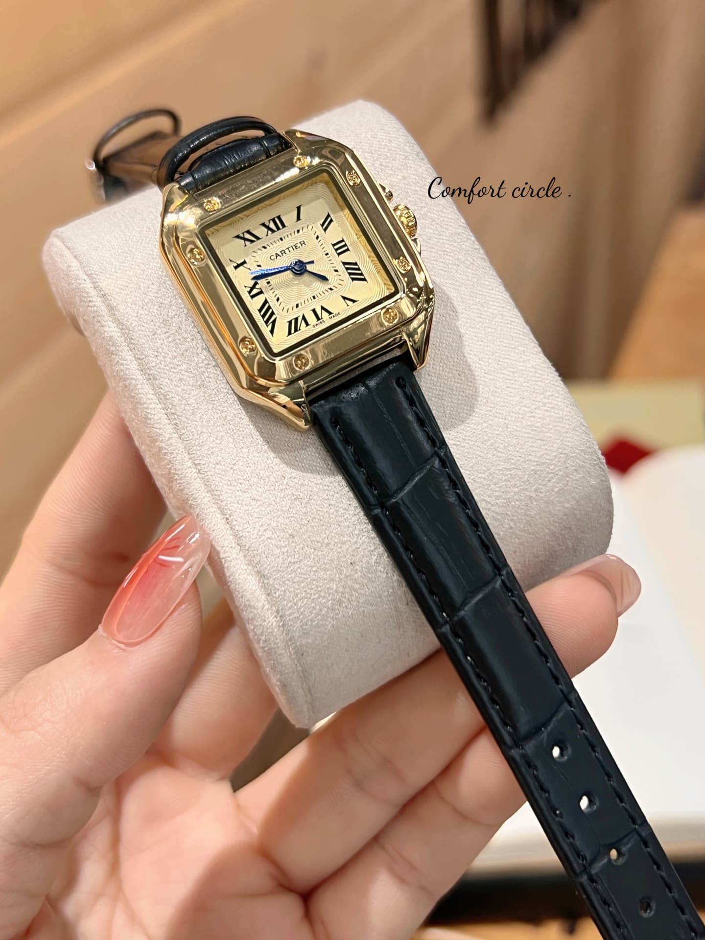 Cartier Blue Watch