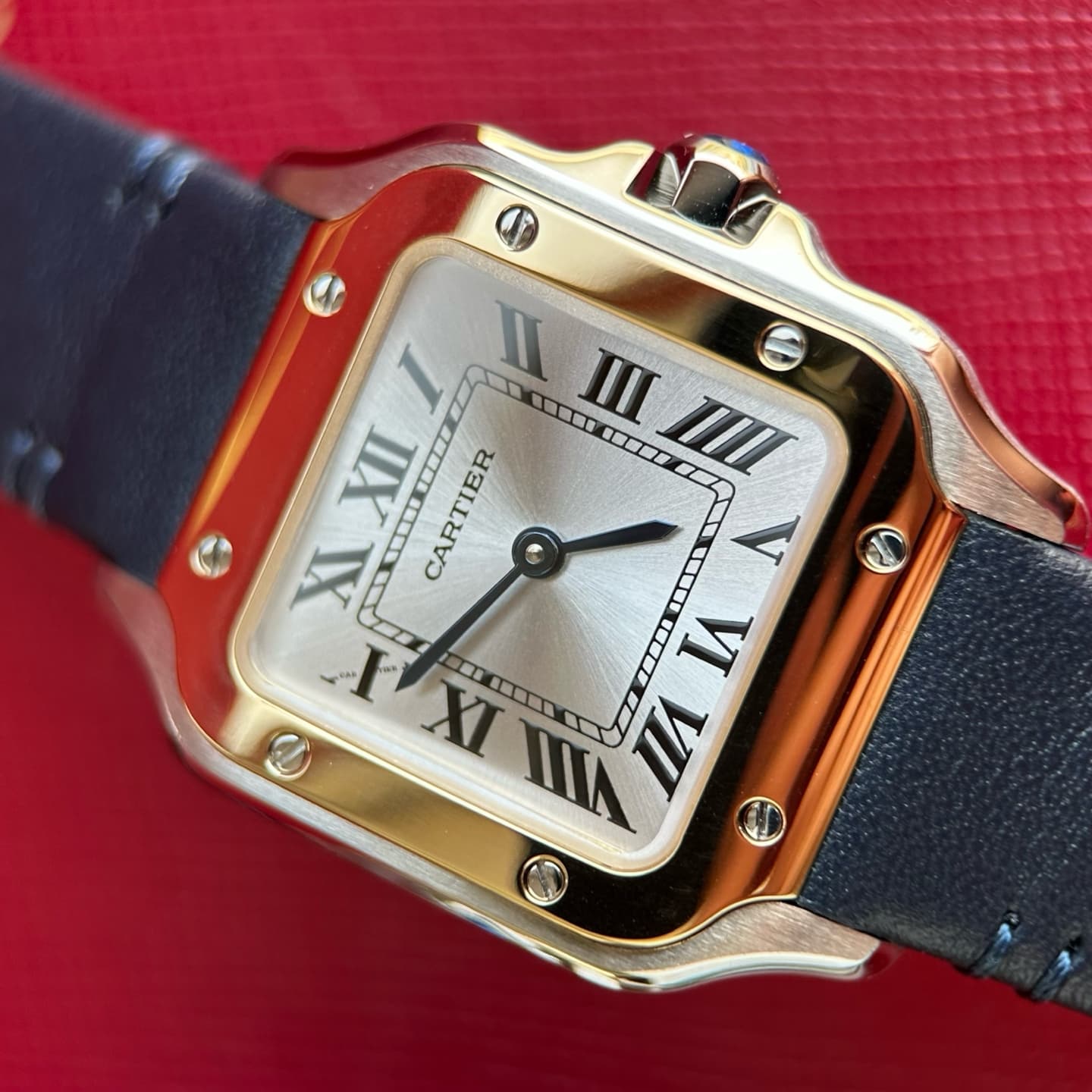 Cartier Grey Small Belt WSSA0082