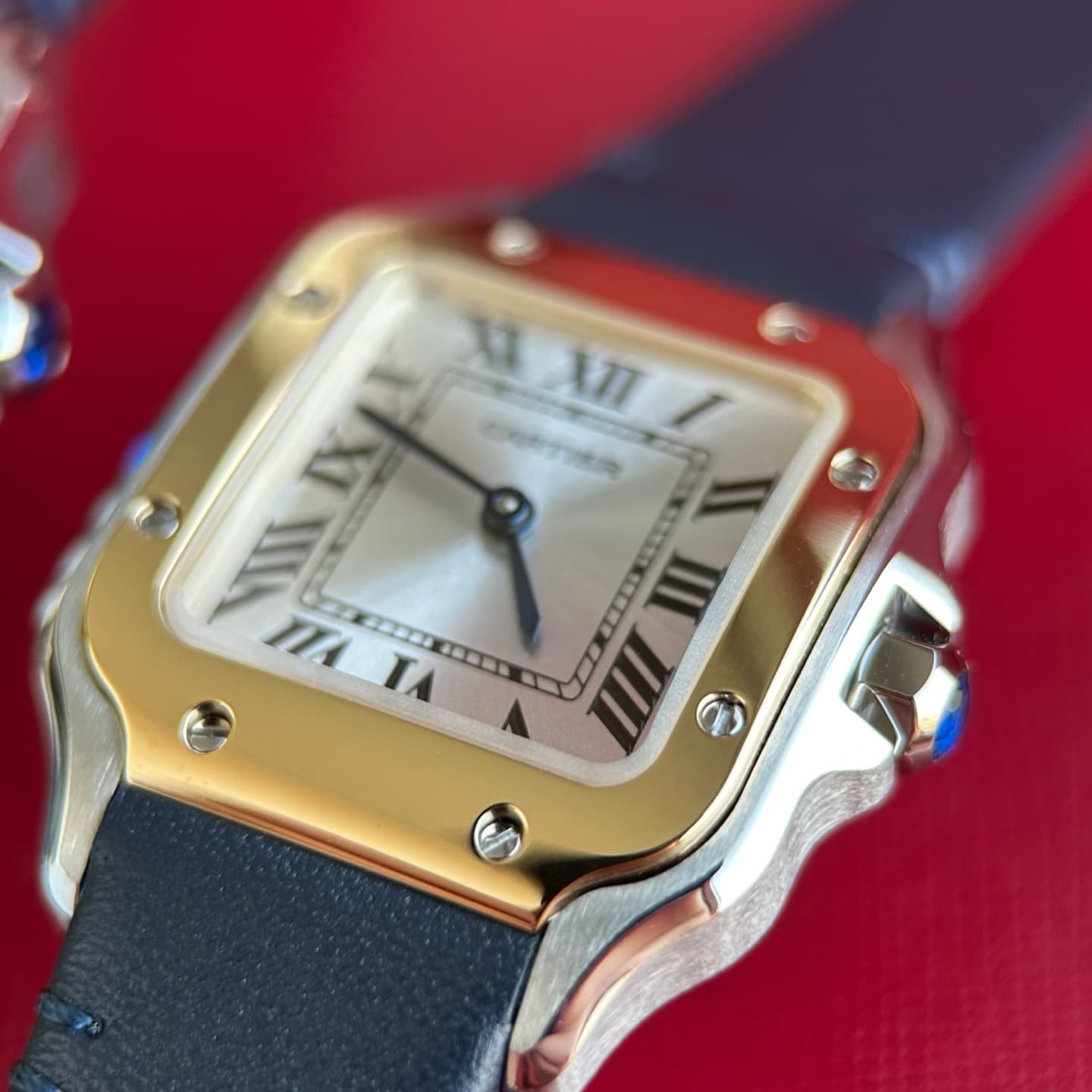 Cartier Grey Small Belt WSSA0082