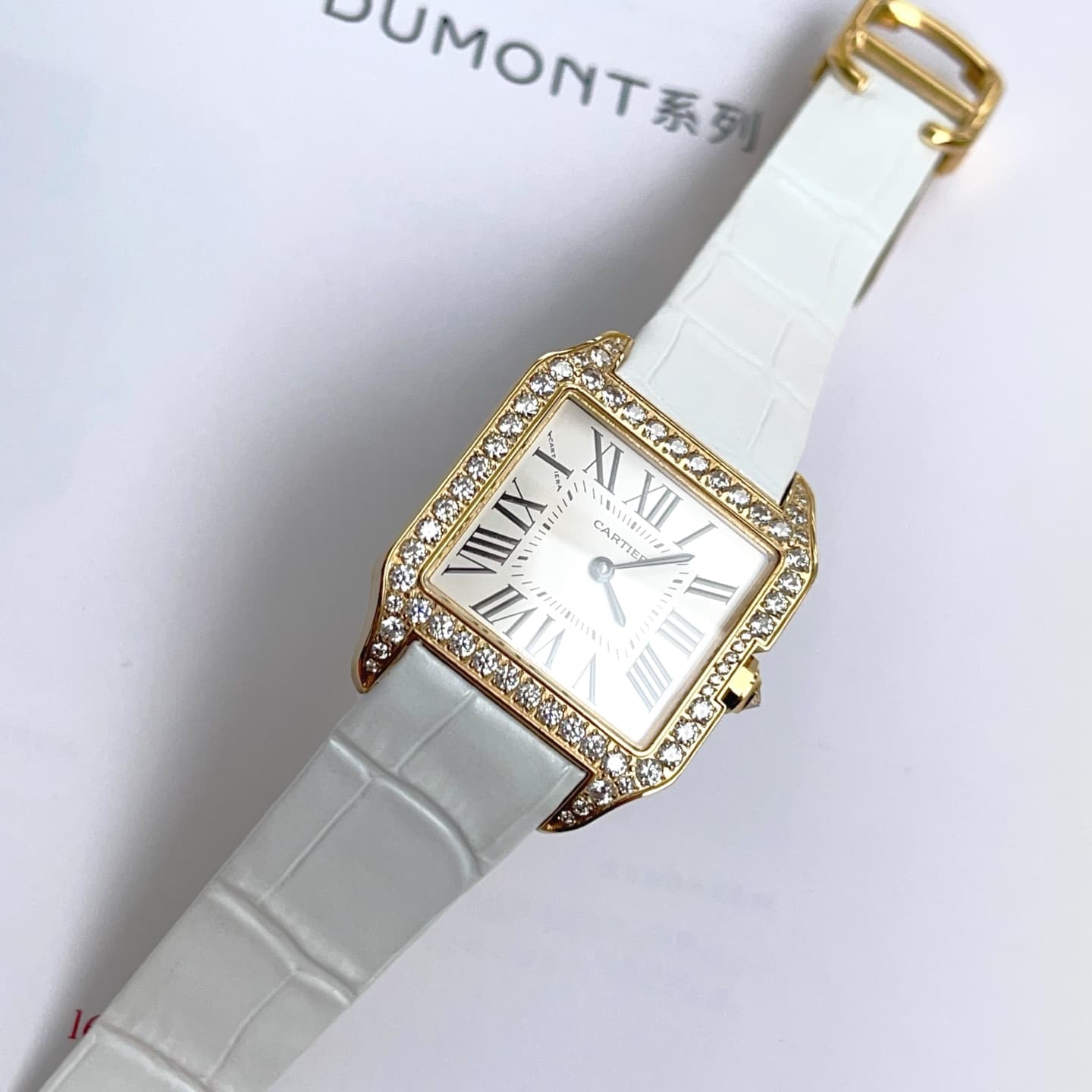 Cartier Watch
