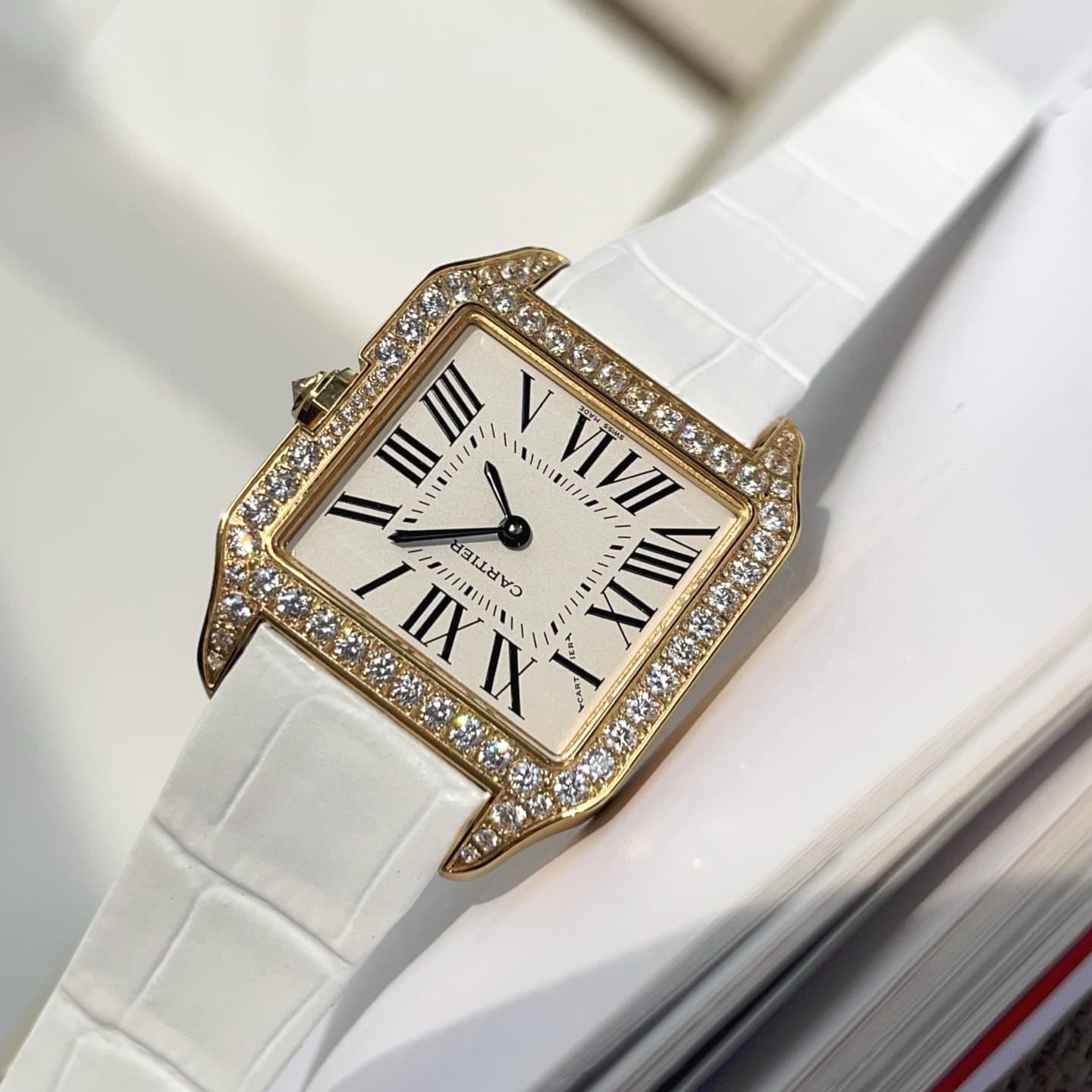 Cartier Watch