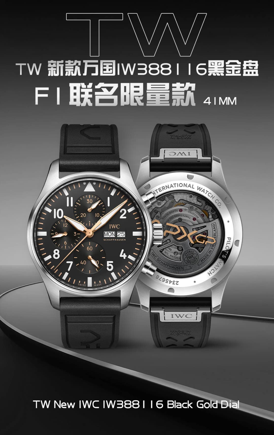 IWC Black Watch IW388116