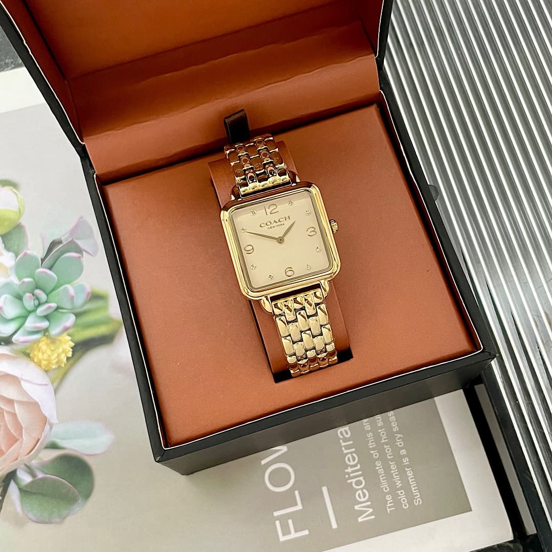 Luxury Watch Gold Bag 14504495