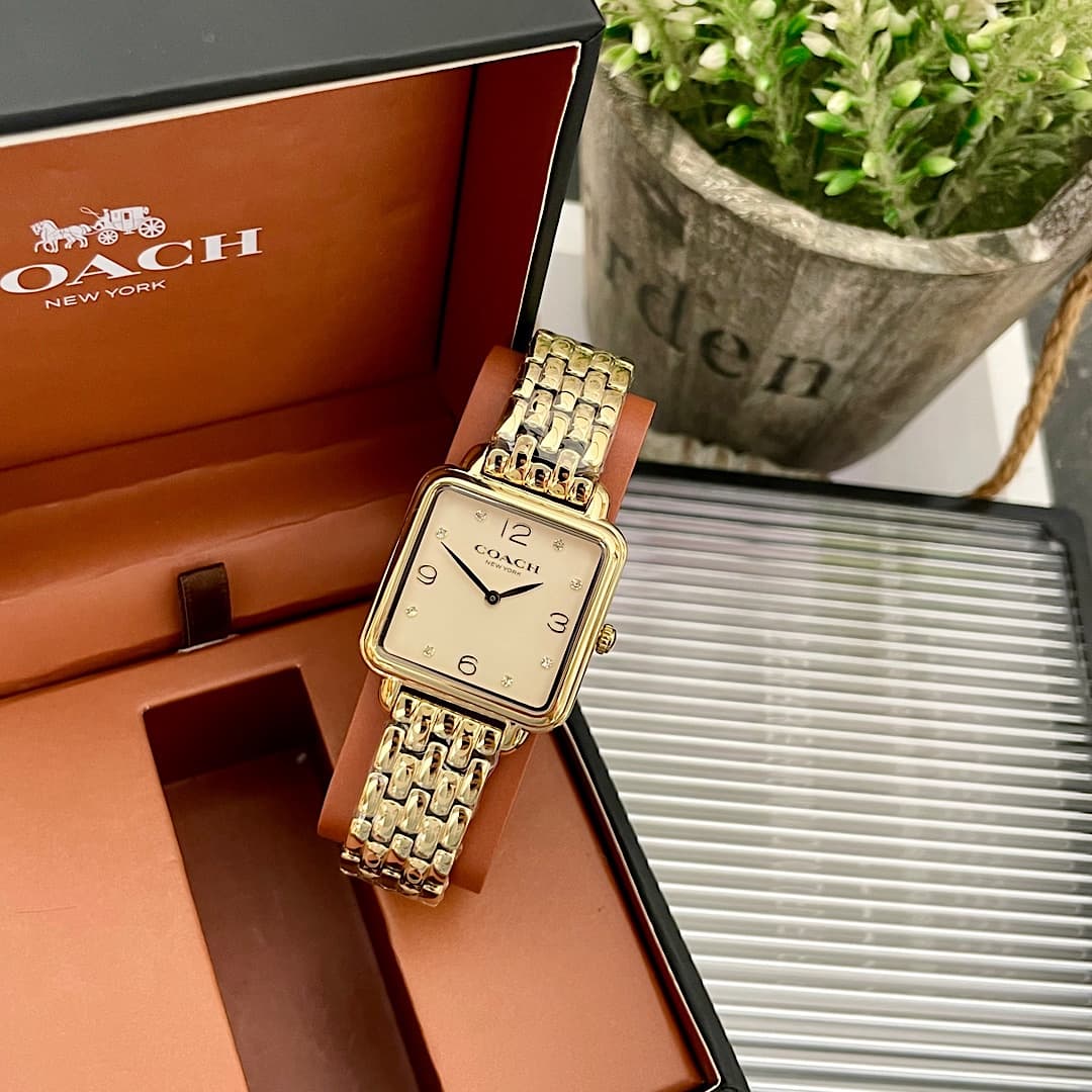 Luxury Watch Gold Bag 14504495