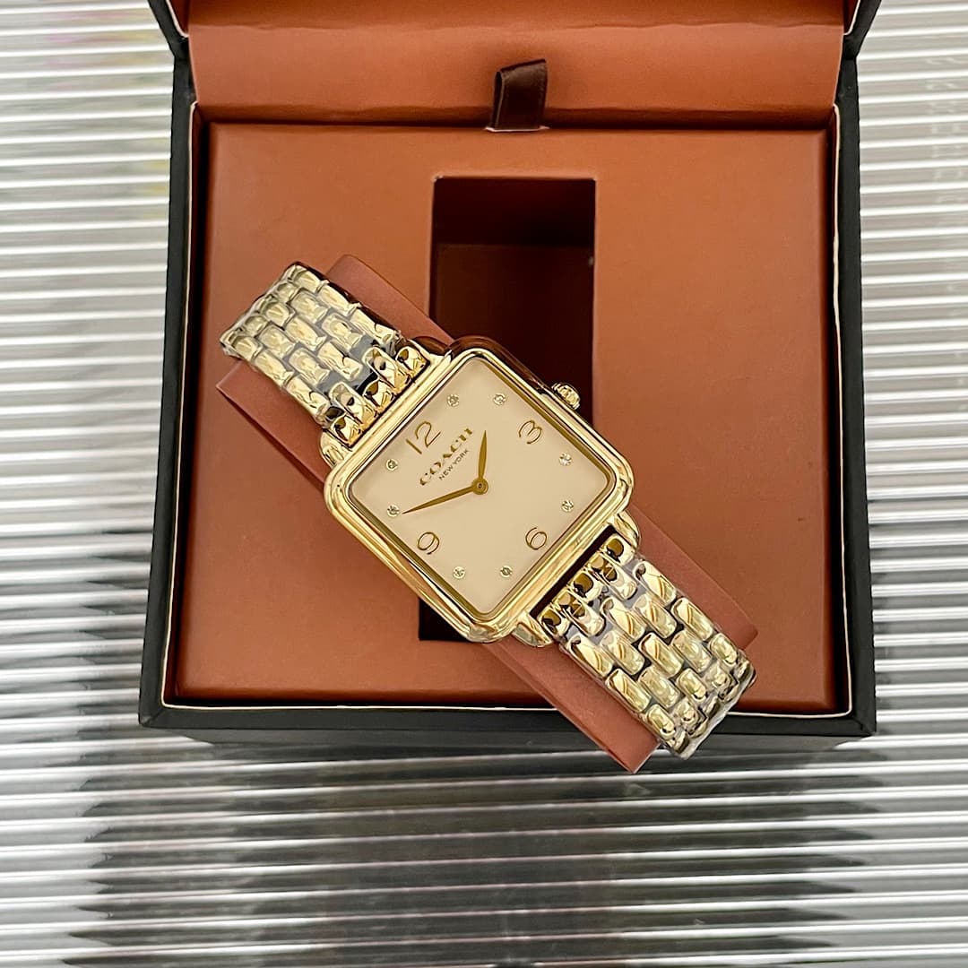 Luxury Watch Gold Bag 14504495