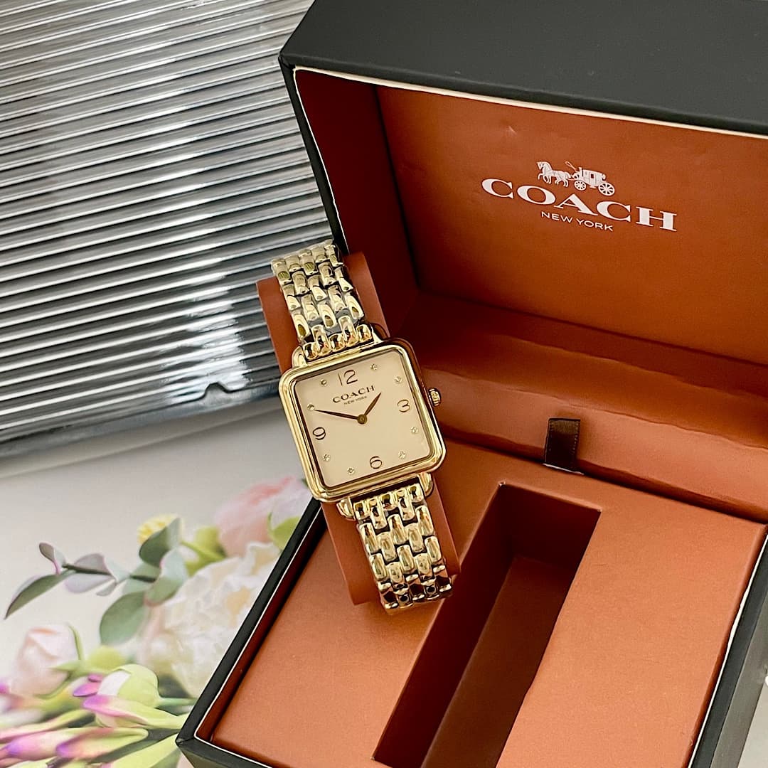 Luxury Watch Gold Bag 14504495