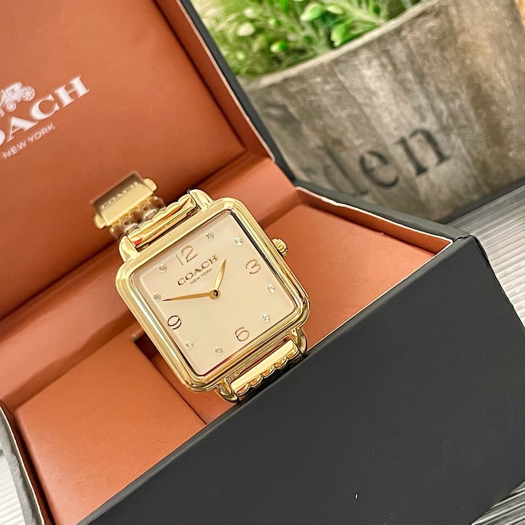Luxury Watch Gold Bag 14504495