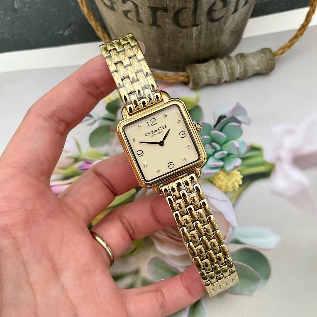 Luxury Watch Gold Bag 14504495