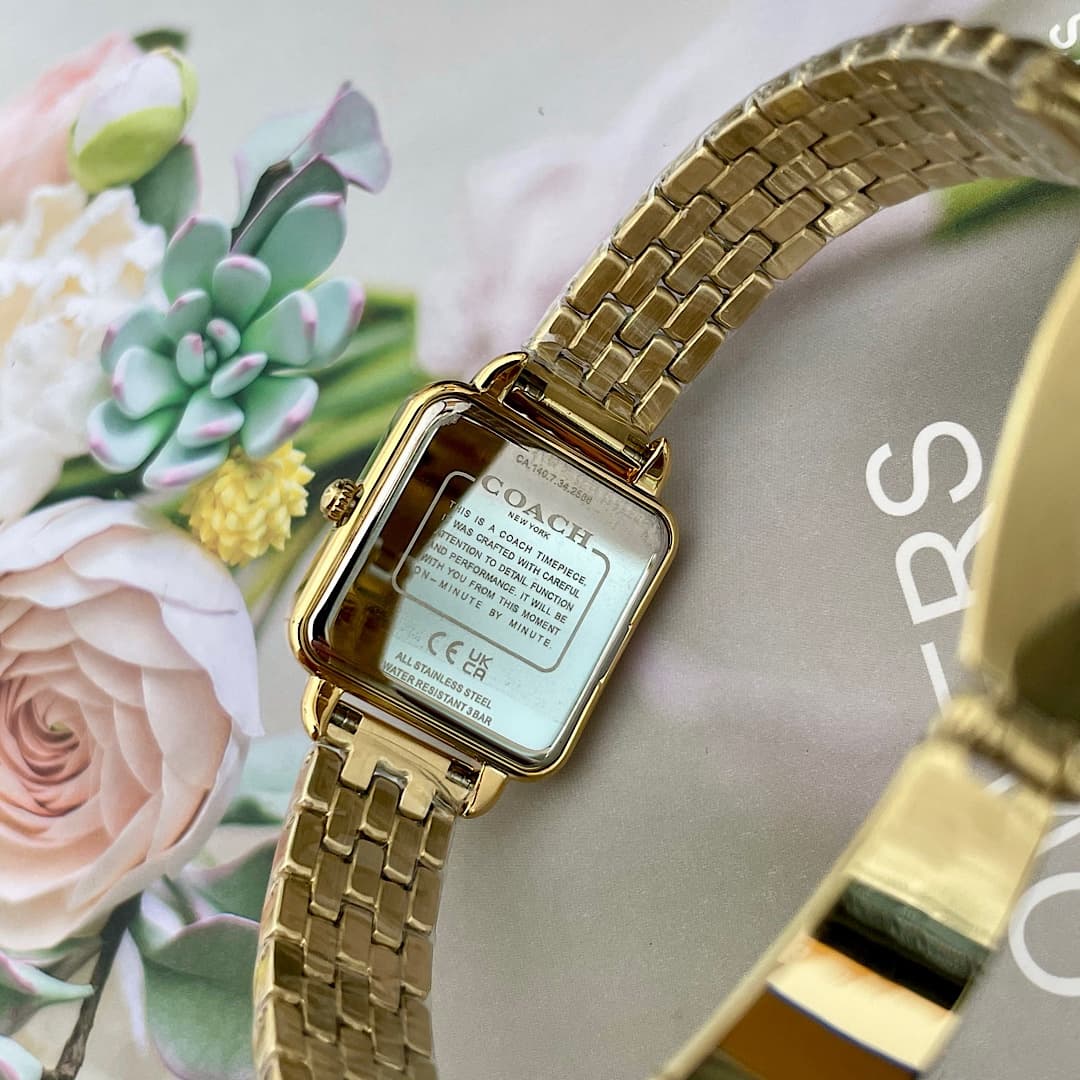 Luxury Watch Gold Bag 14504495