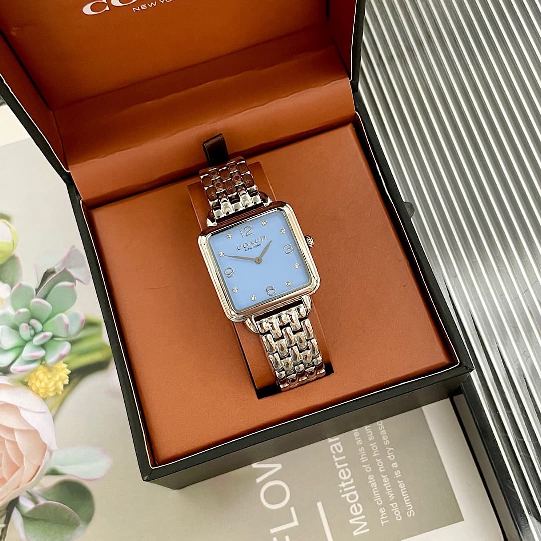 Luxury Watch Blue Bag 14504494