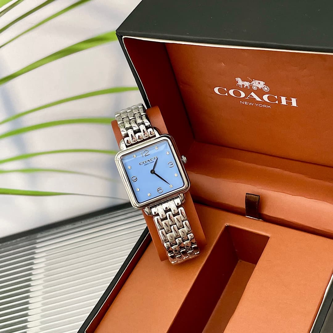 Luxury Watch Blue Bag 14504494