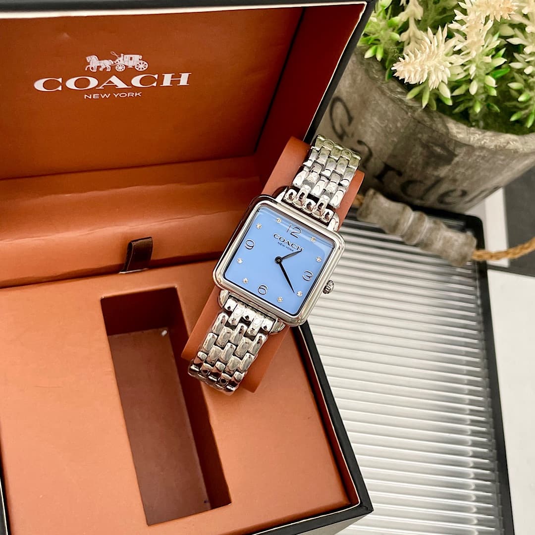 Luxury Watch Blue Bag 14504494