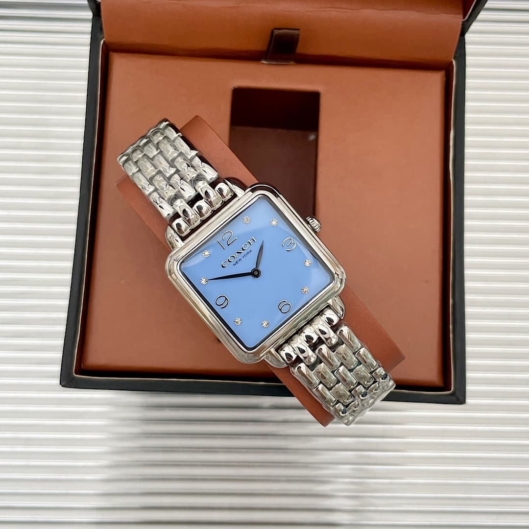 Luxury Watch Blue Bag 14504494