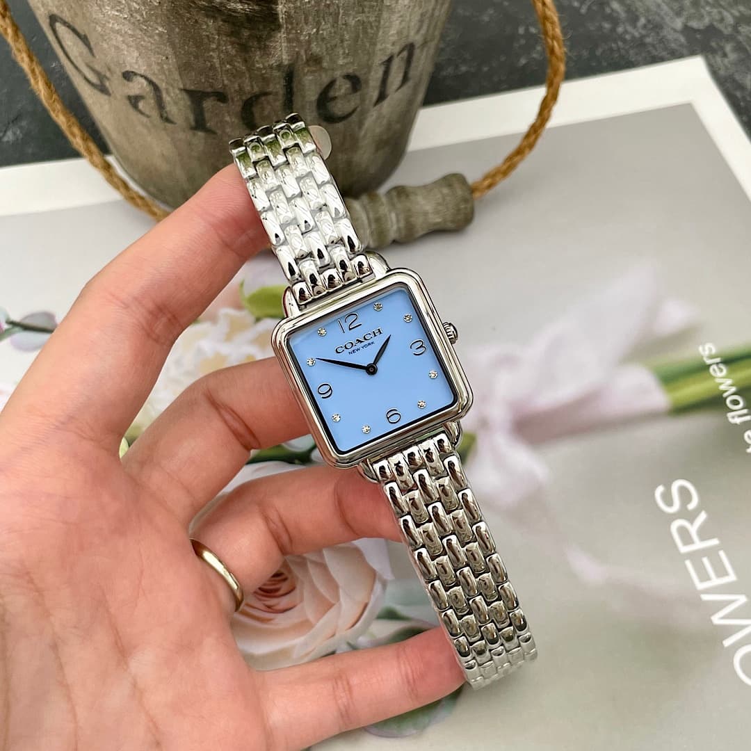 Luxury Watch Blue Bag 14504494