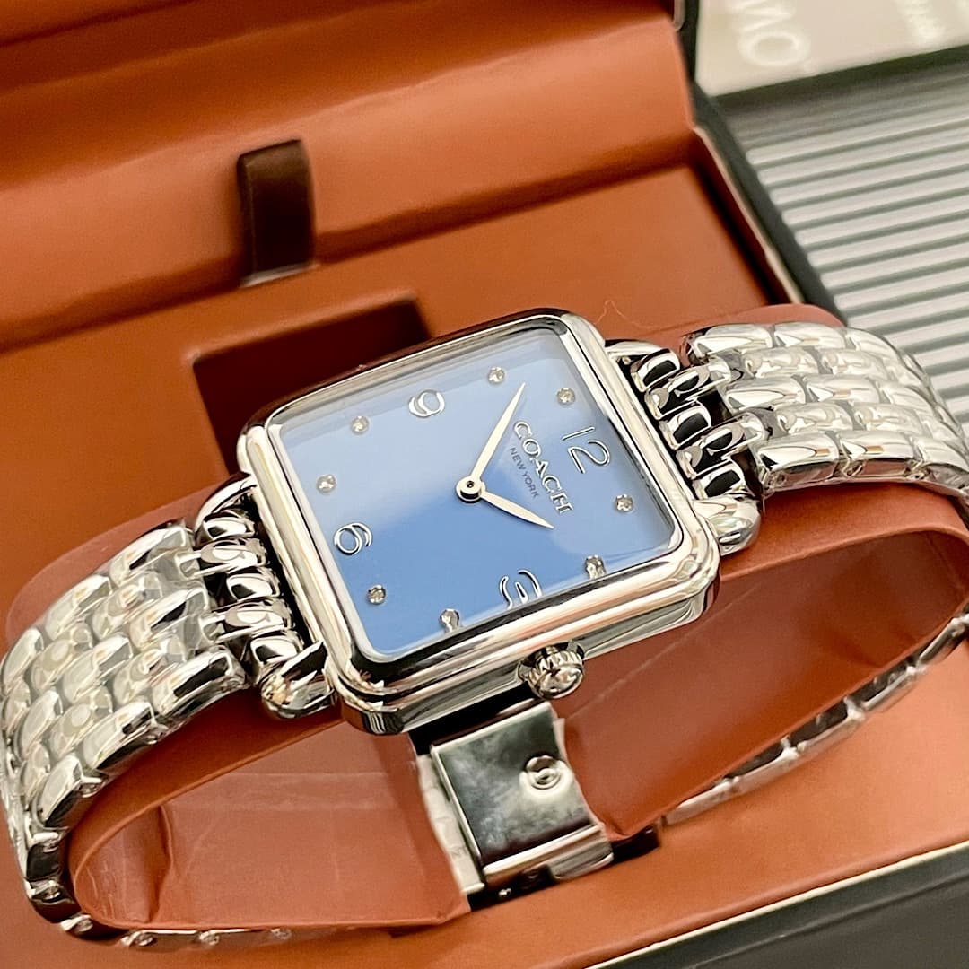 Luxury Watch Blue Bag 14504494
