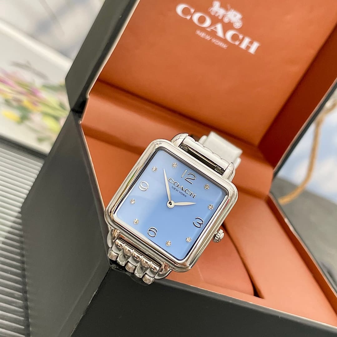 Luxury Watch Blue Bag 14504494