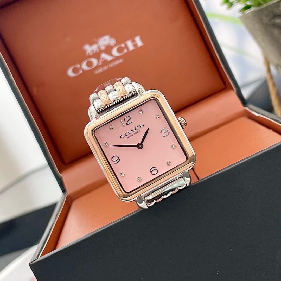 Luxury Watch Pink Bag 14504497