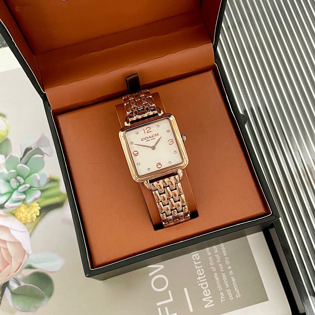 Luxury Watch Bag 14504532