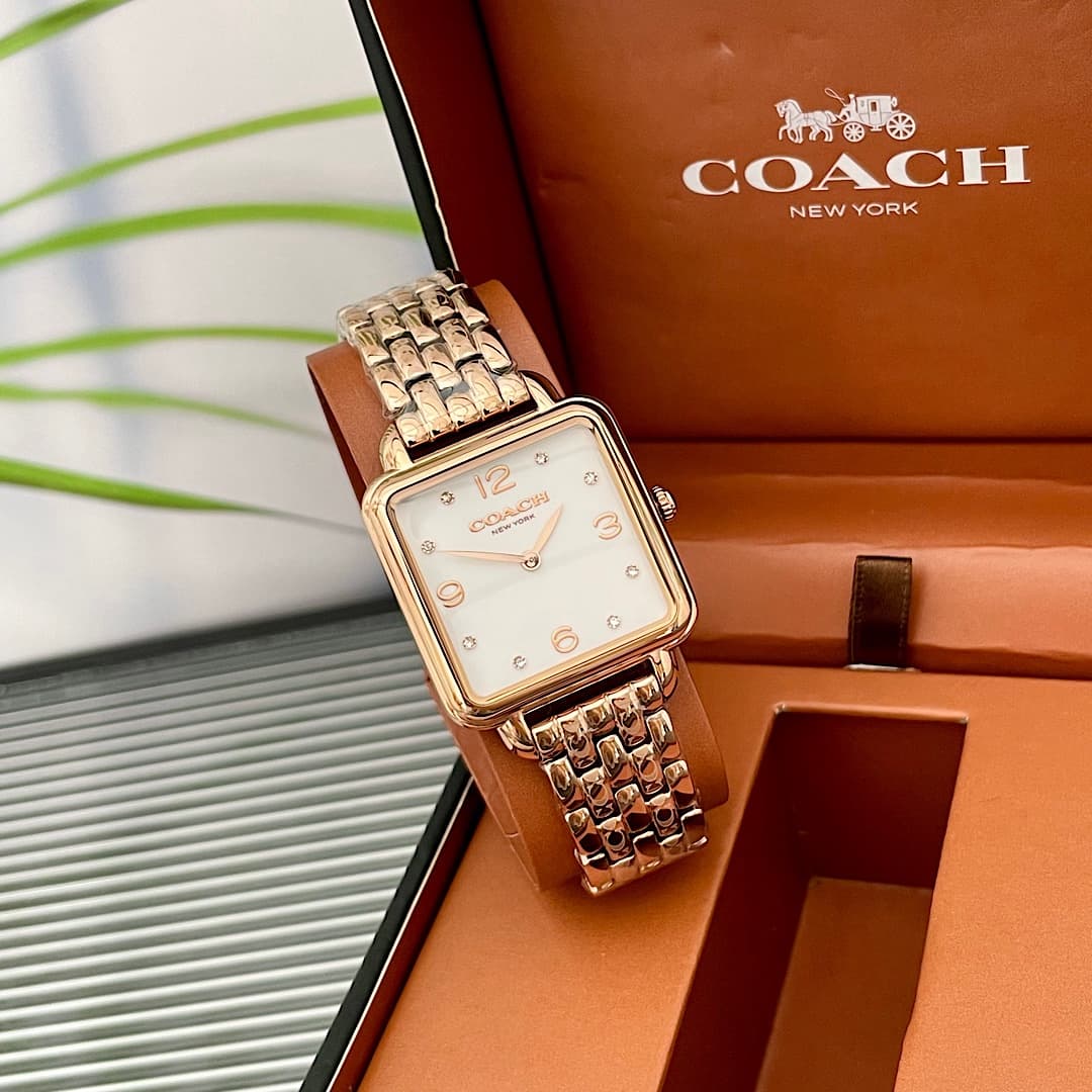 Luxury Watch Bag 14504532