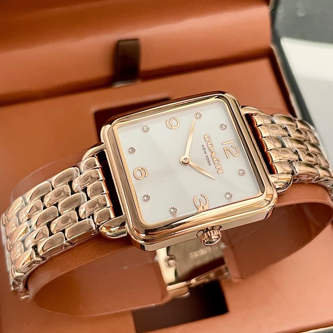 Luxury Watch Bag 14504532