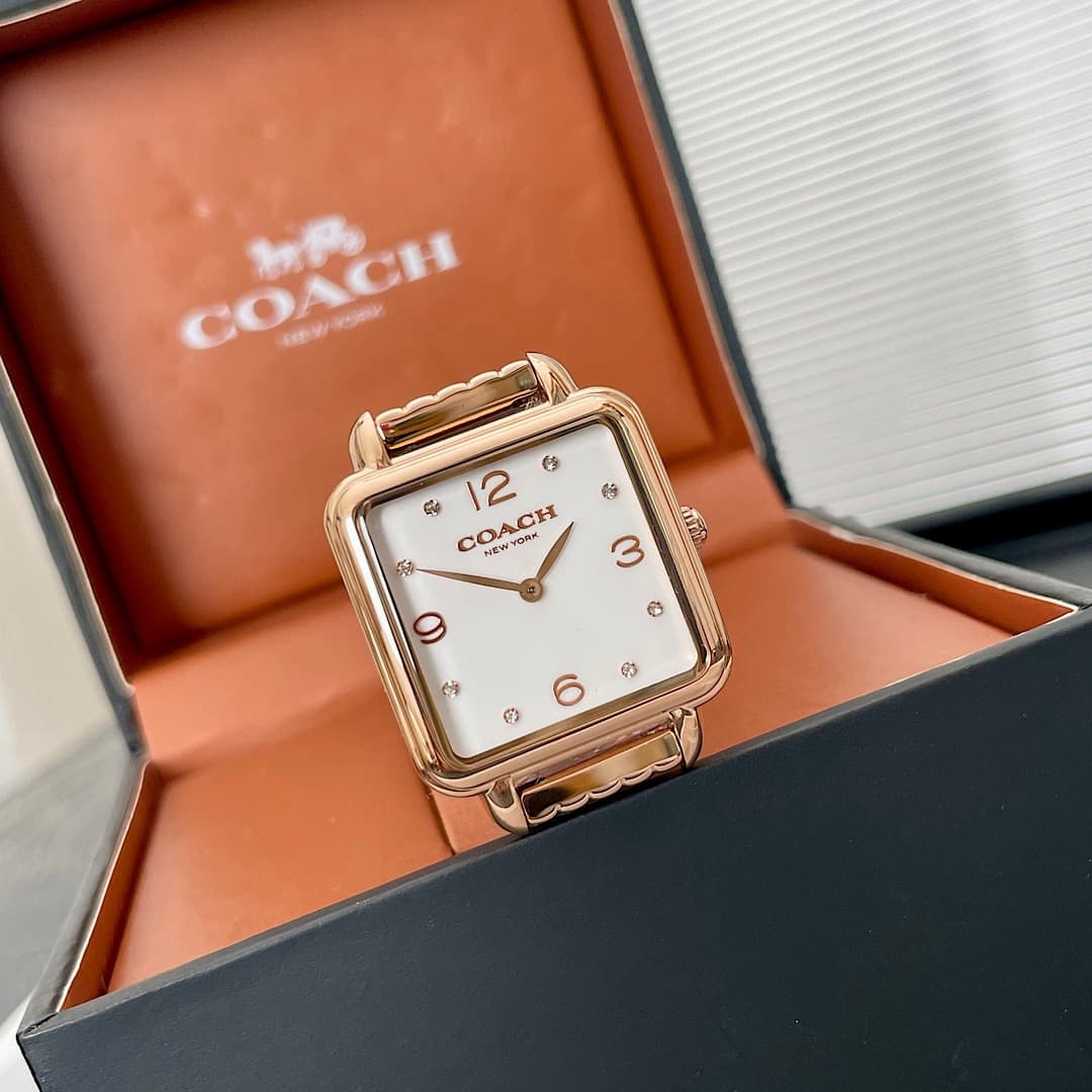 Luxury Watch Bag 14504532