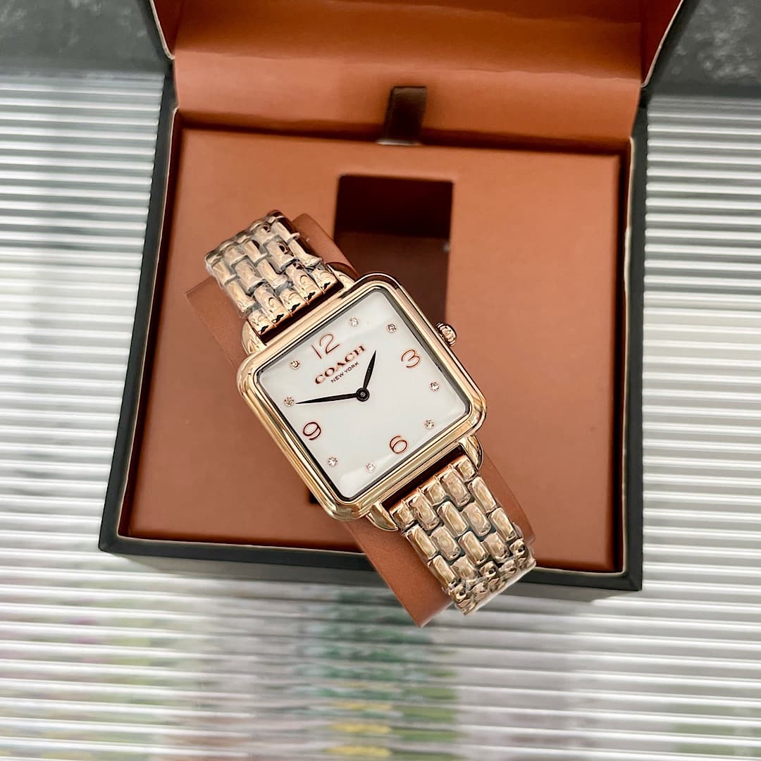 Luxury Watch Bag 14504532