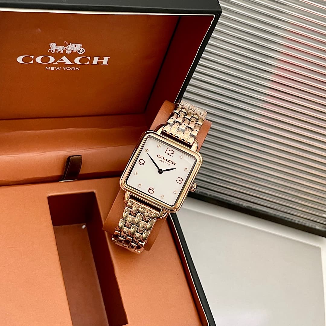 Luxury Watch Bag 14504532