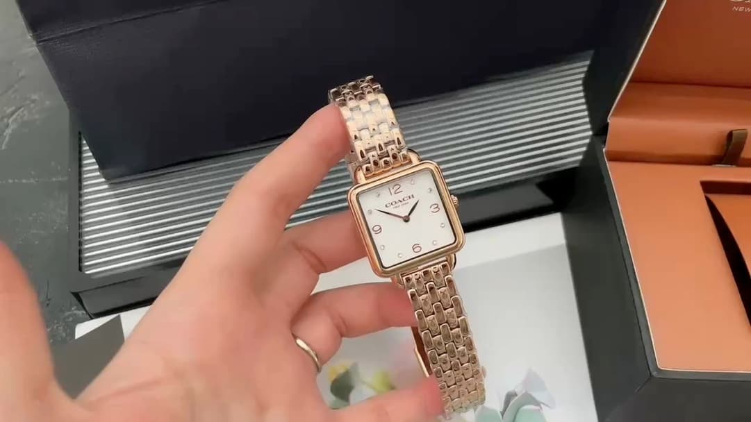 Luxury Brand Watch