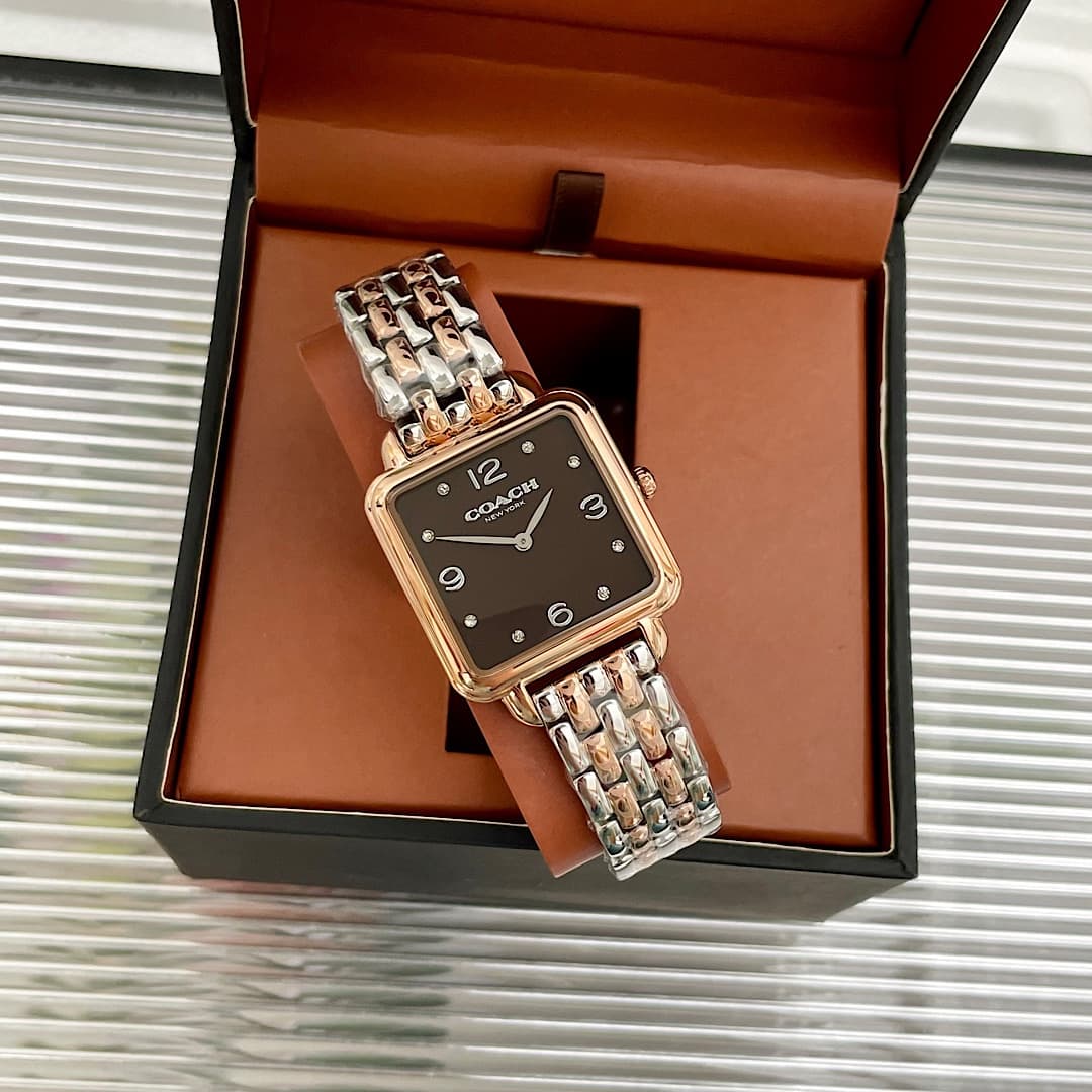 Luxury Watch Black Bag 14504543
