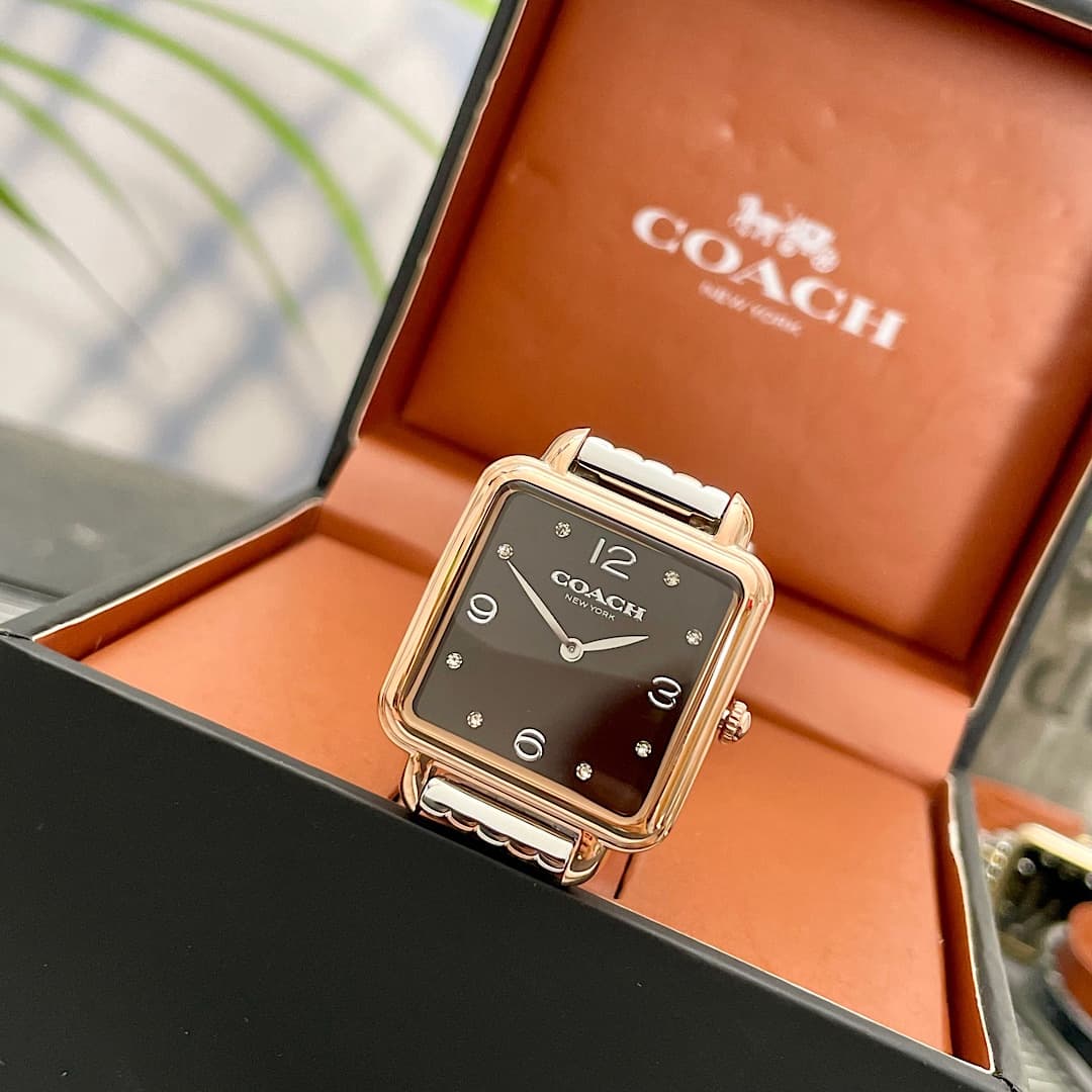 Luxury Watch Black Bag 14504543