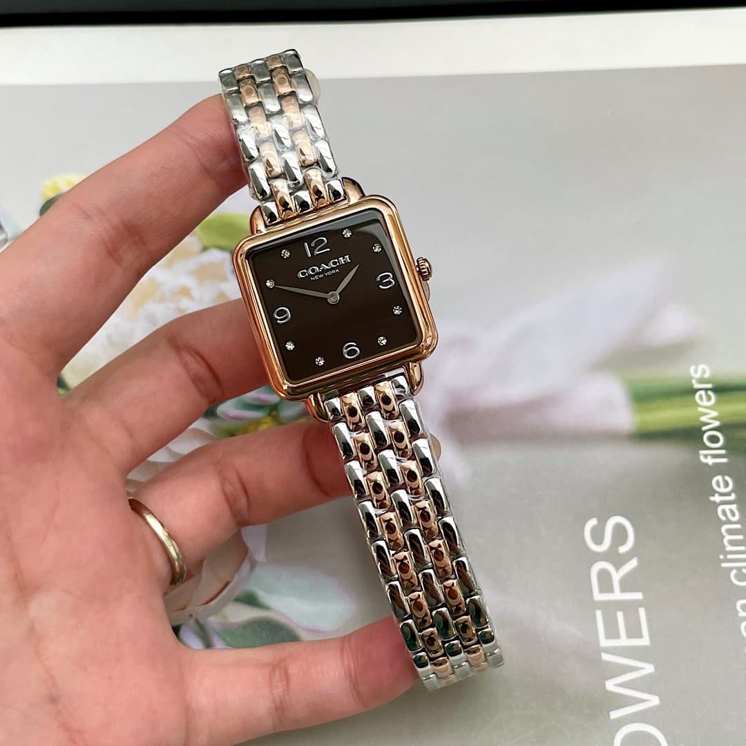 Luxury Watch Black Bag 14504543