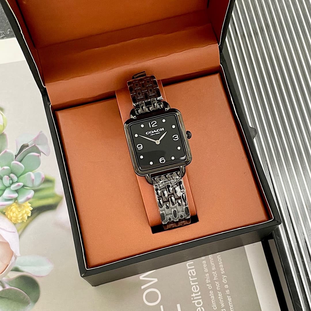 Luxury Watch Black Bag 14504533