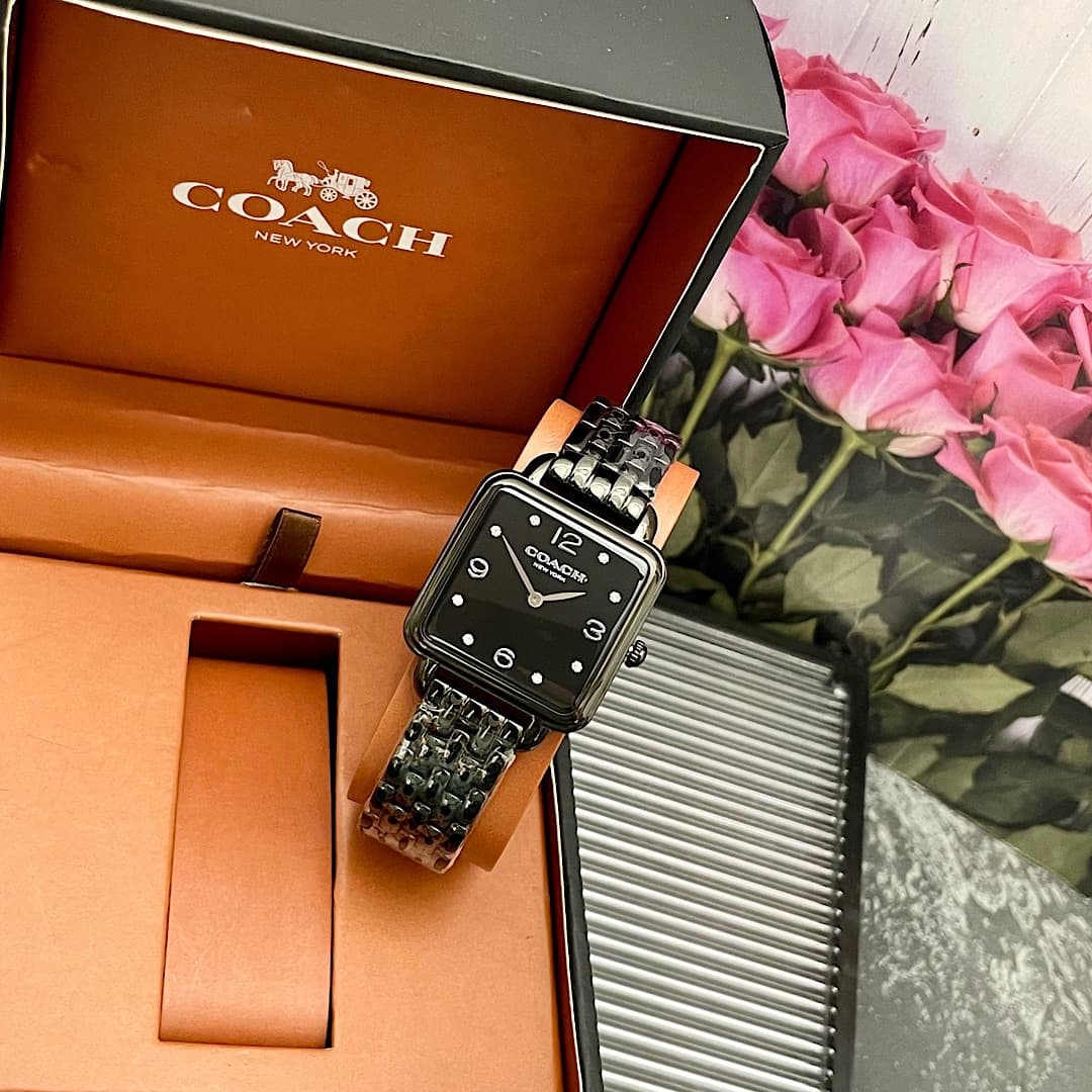 Luxury Watch Black Bag 14504533
