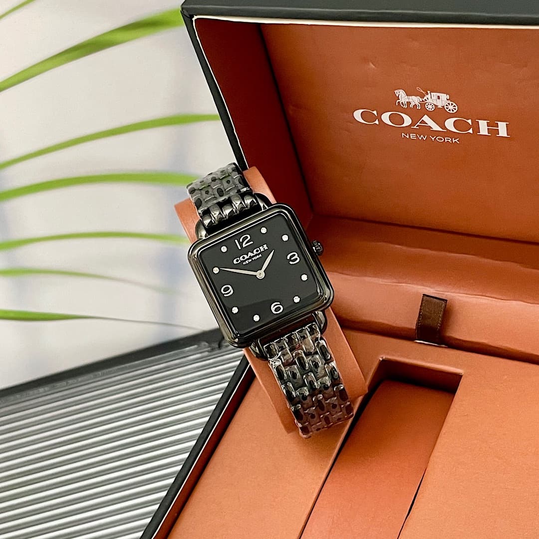 Luxury Watch Black Bag 14504533