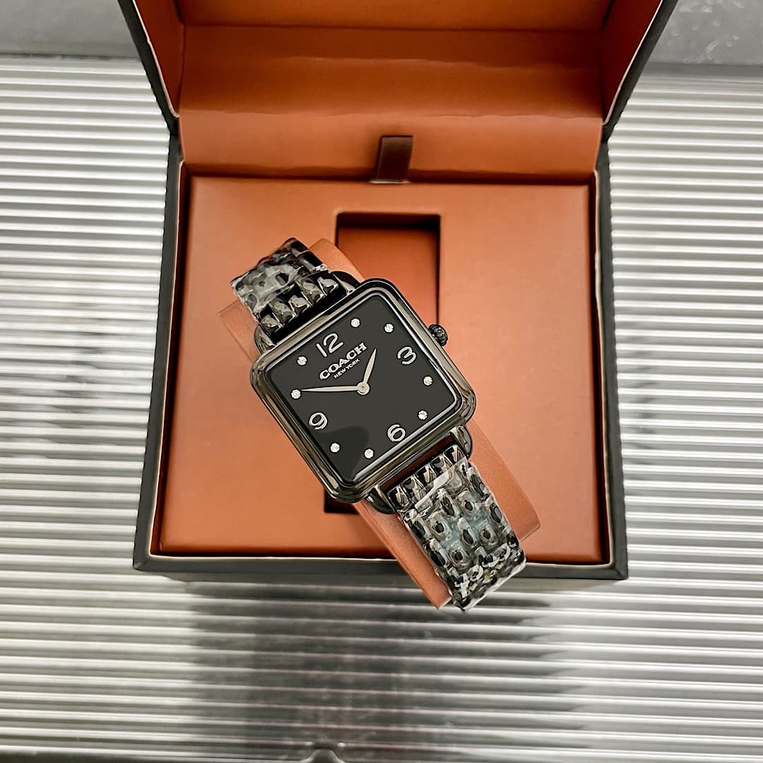 Luxury Watch Black Bag 14504533