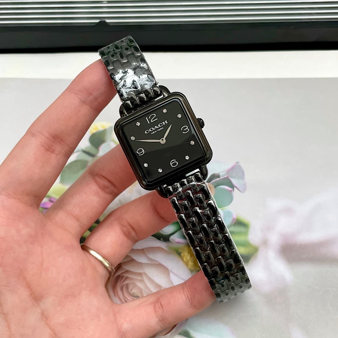 Luxury Watch Black Bag 14504533