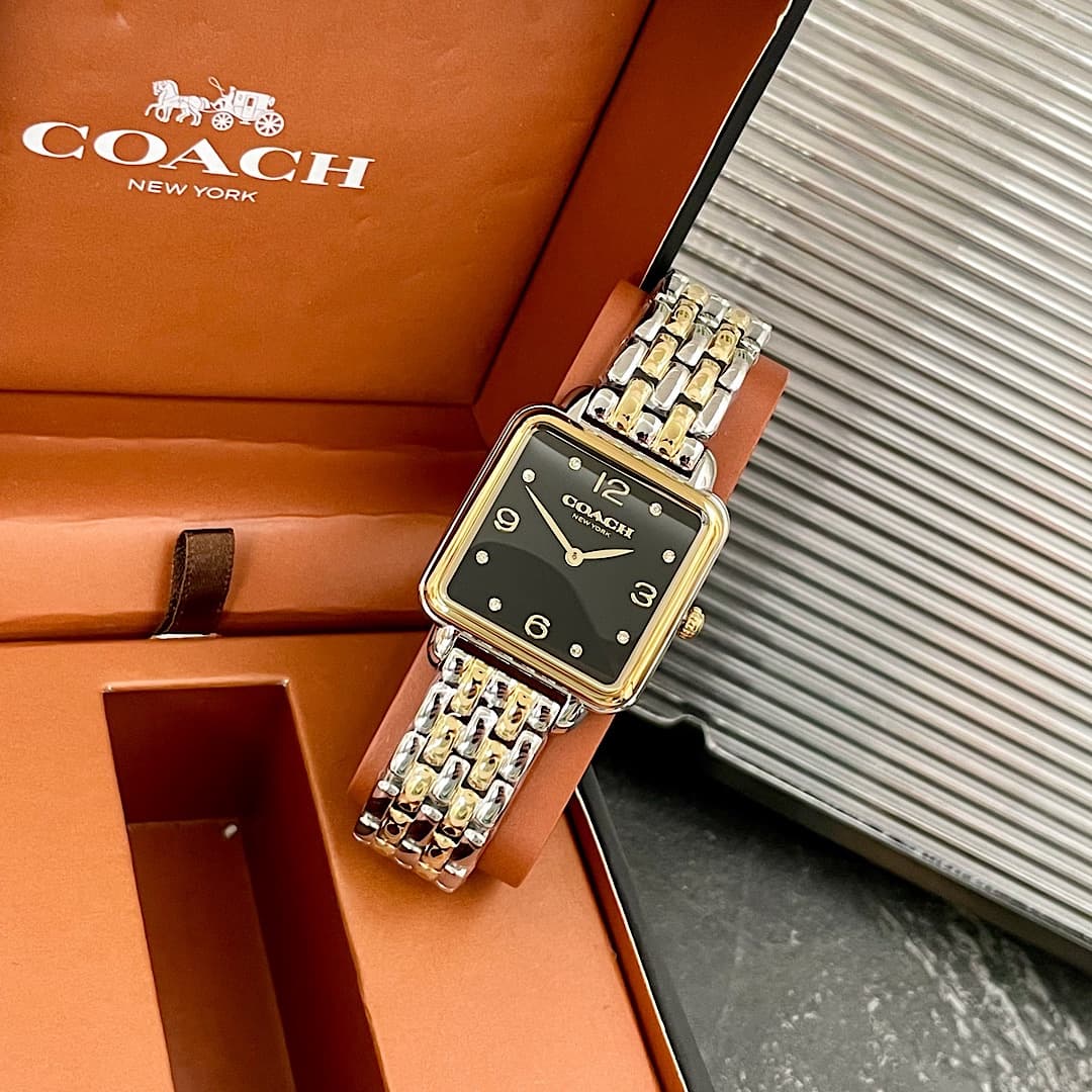 Luxury Watch Black Bag 14504496