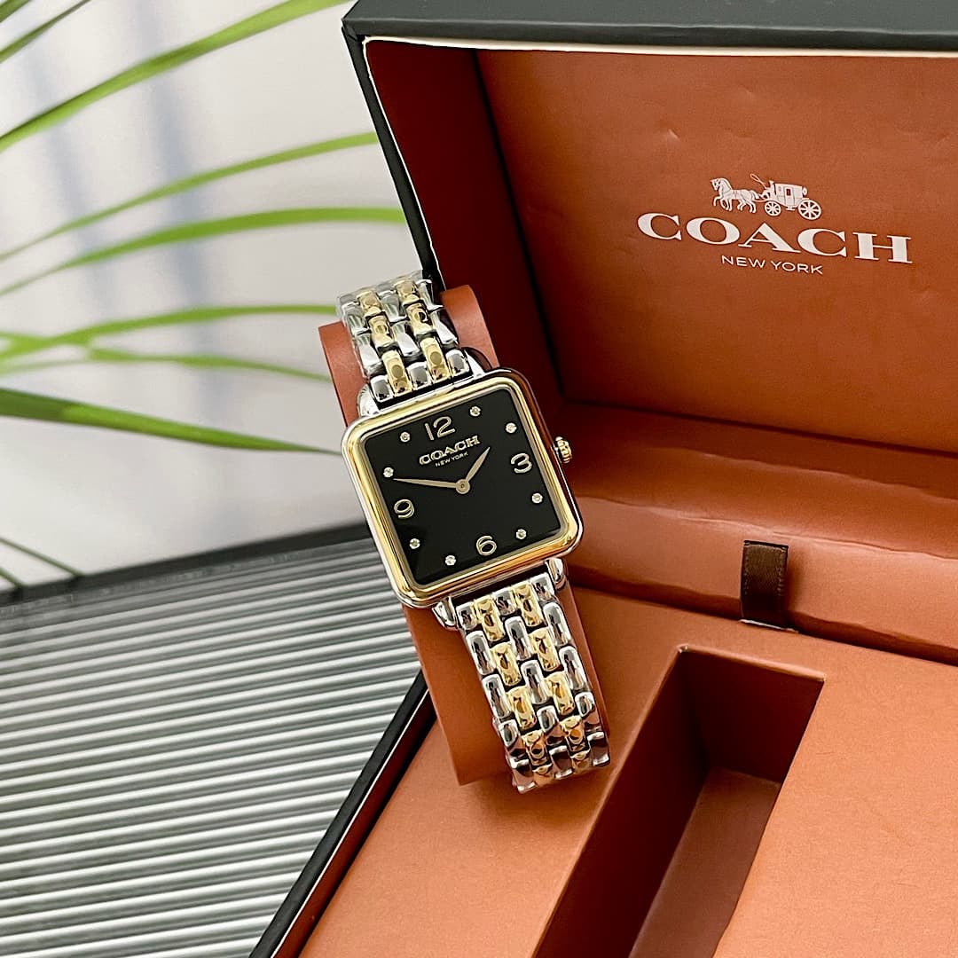 Luxury Watch Black Bag 14504496