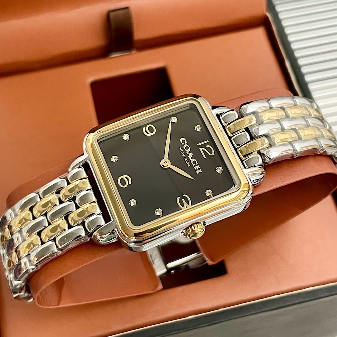Luxury Watch Black Bag 14504496