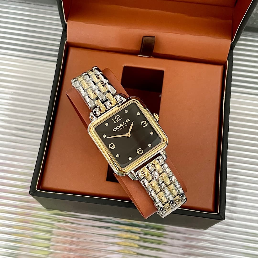 Luxury Watch Black Bag 14504496