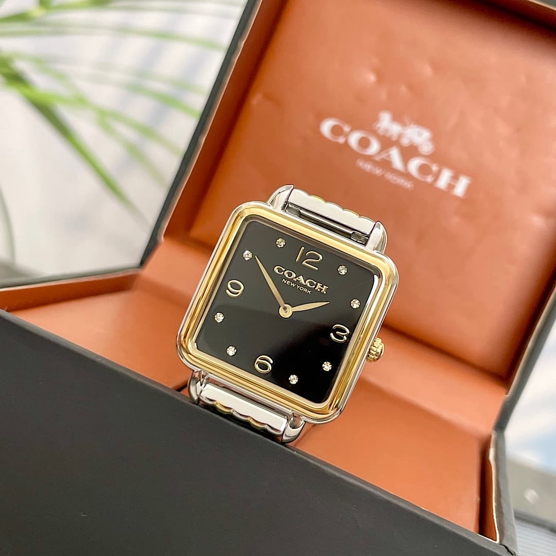 Luxury Watch Black Bag 14504496