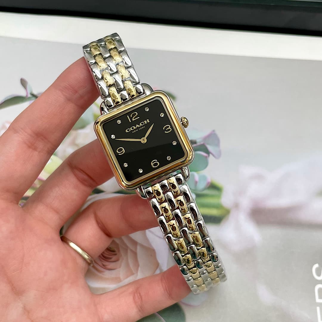 Luxury Watch Black Bag 14504496