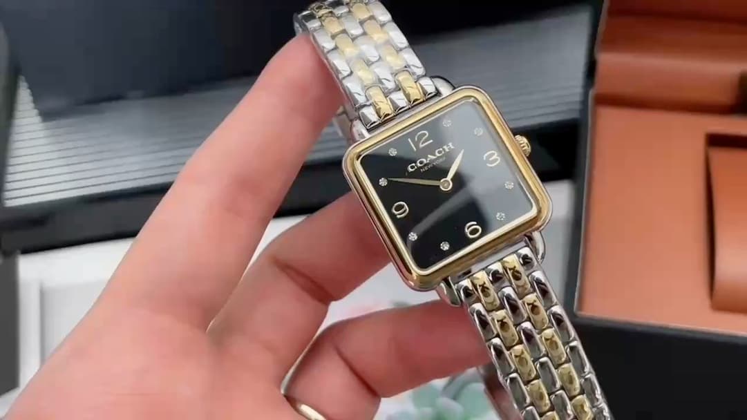 Luxury Brand Watch