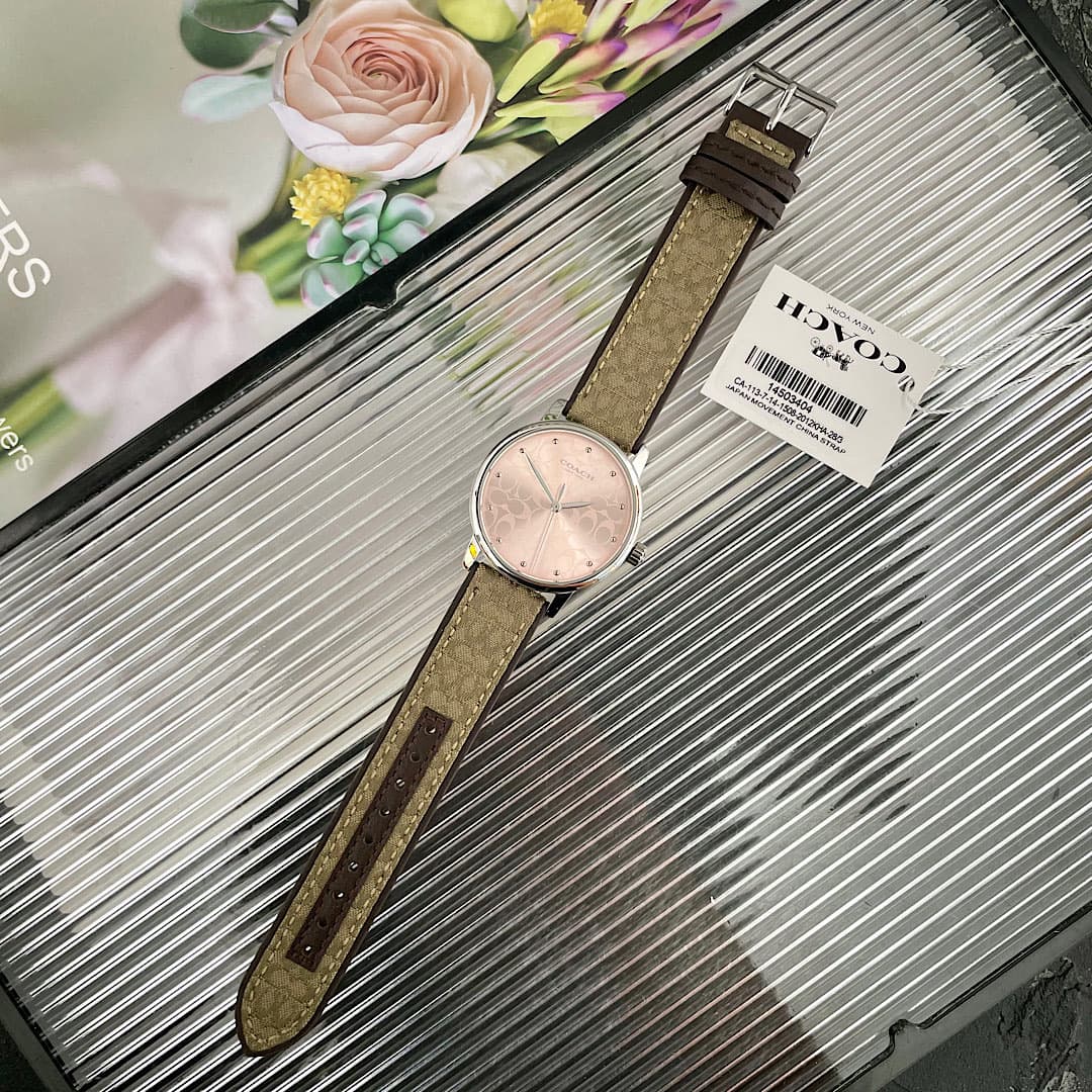 Luxury Watch Bag 14503404