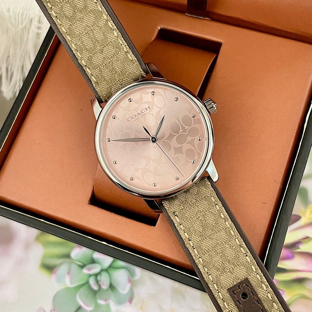 Luxury Watch Bag 14503404