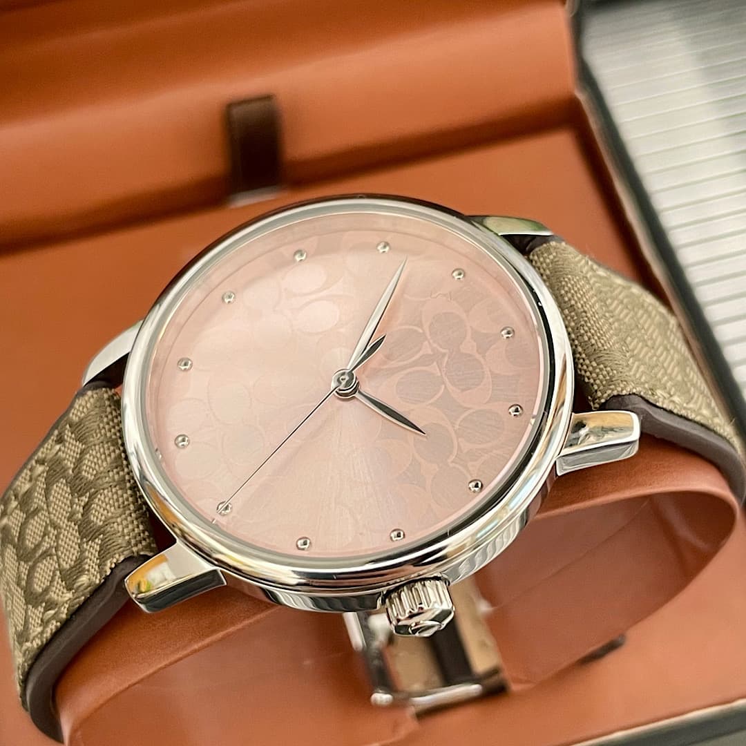 Luxury Watch Bag 14503404