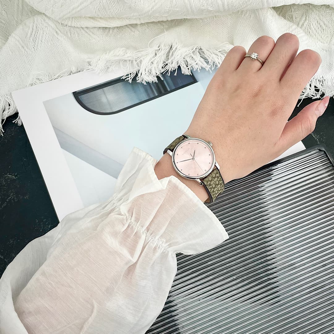 Luxury Watch Bag 14503404