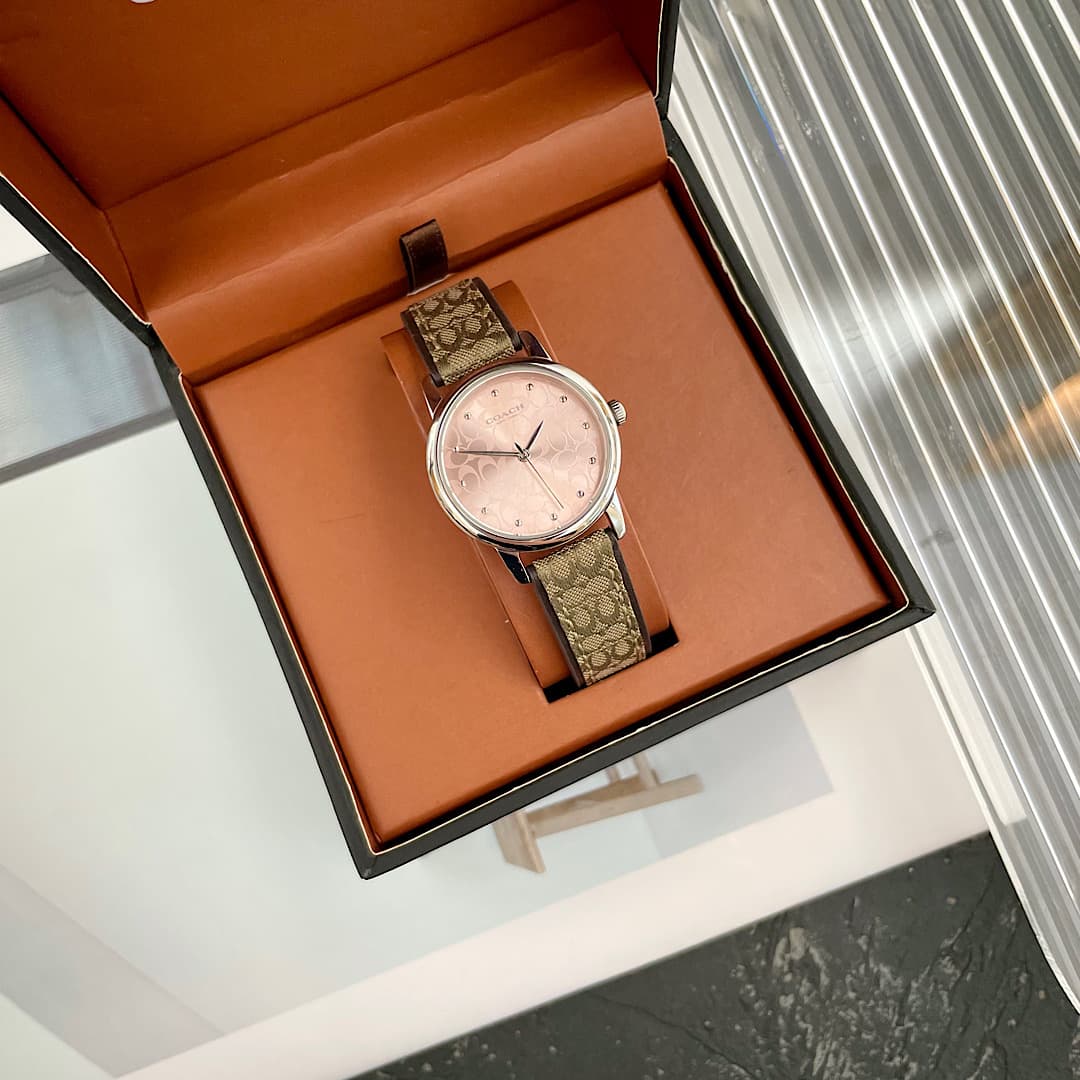 Luxury Watch Bag 14503399