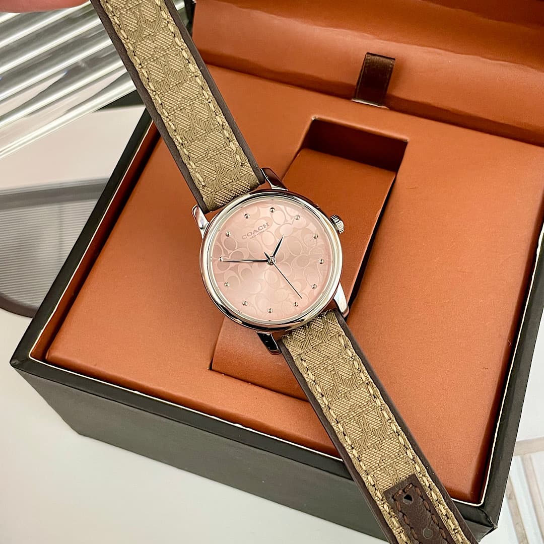 Luxury Watch Bag 14503399