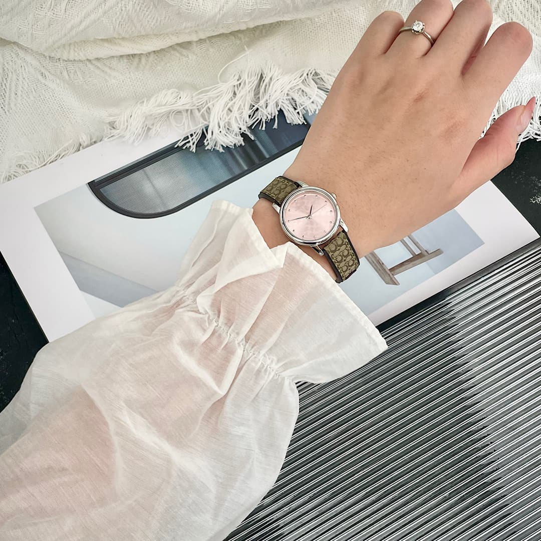 Luxury Watch Bag 14503399